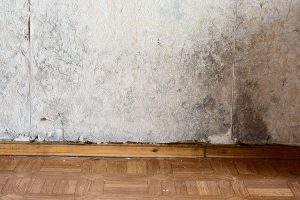 SR Surveyors Damp Survey Services